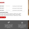 Professional Powerpoint Design